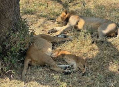 2-Day Tarangire & Ngorongoro Safari from Zanzibar