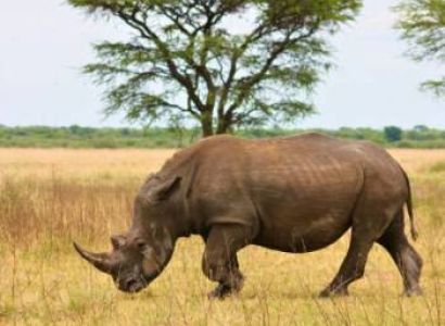 2-Day Tarangire & Ngorongoro Safari from Zanzibar