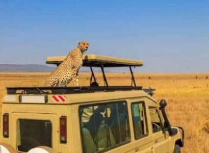 2-Day Tarangire & Ngorongoro Safari from Zanzibar