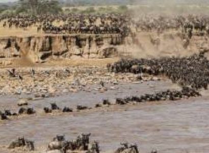 9 Days of the Great Migration: Witness the Mara River Crossing