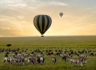 9 Days of the Great Migration: Witness the Mara River Crossing