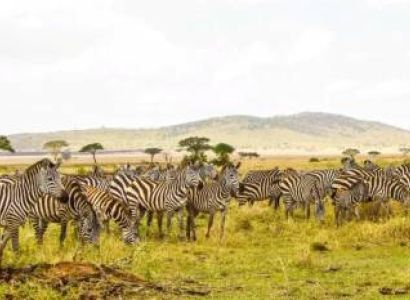 7 Day Wildbeest Mara River Cross Tour