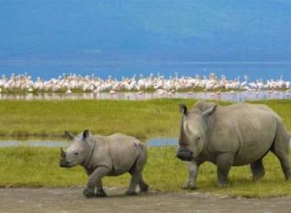 The Ultimate 10-Day African Escape: Safari & Island Bliss