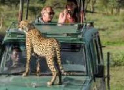 The Ultimate 10-Day African Escape: Safari & Island Bliss