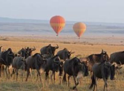3 Days Incredible Great Migratio Serengeti Tour