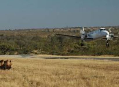 4 Days Fly In - Fly Out Great Migration Tour