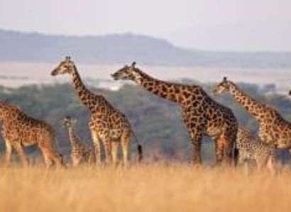 3 Days Ultimate Wildlife - Cultural Experience Tour