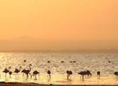 Ngorongoro Tour Packages
