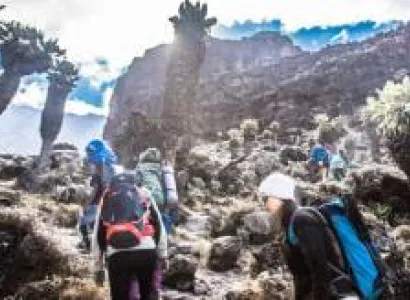 8 Days Kilimanjaro Trekking Via Northern Circuit Route Tour