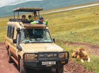 Manyara Tour Packages