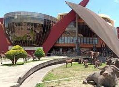 Manyara Tour Packages