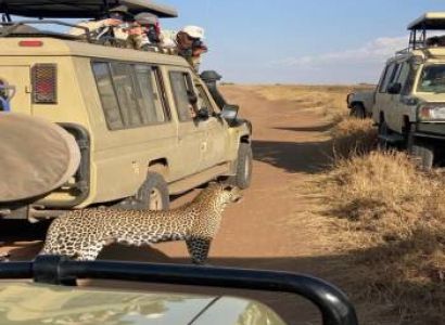 4 Days Fly In - Fly Out Great Migration Tour