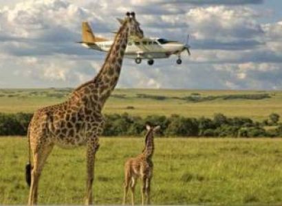 4 Days Fly In - Fly Out Great Migration Tour