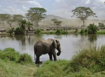 3 Day Tanzania Luxury Safari - A Journey Into Africas Wild Beauty