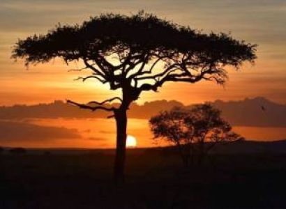 5 Day Tanzania Luxury Safari Tour