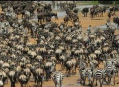 5 Day Tanzania Luxury Safari Tour