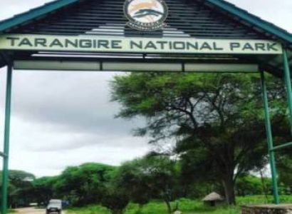 3 Day Mid-Range Tanzania Safari Tour