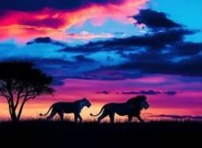 9-Days Wilderness Adventure Tour