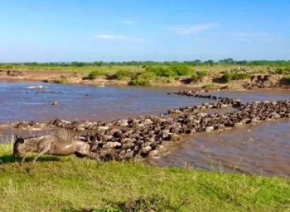 4-Day Kenya Safari Adventure Tour