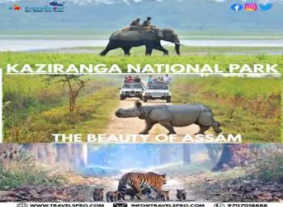 2 Nights 3 Days Kaziranga National Park