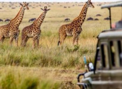 4 Days Tanzania Short Safari Tour