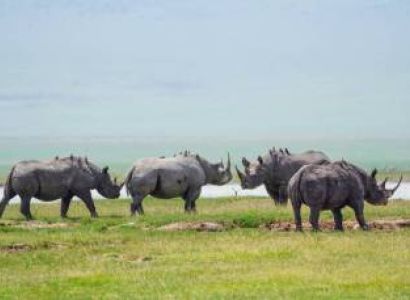 8D Tanzania Luxury Safari - The Ultimate African Wildlife Adventure Tour