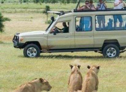 Tarangire National Park Day Trip