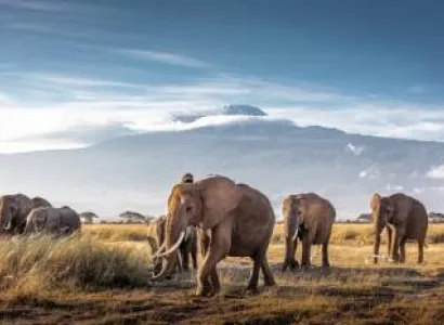 Manyara Tour Packages