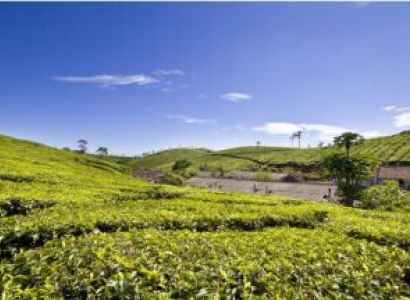 Munnar - Vagamon 4 Nights 5 Days Tour
