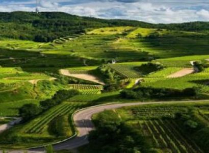 Mysore - Kabini River - Coorg 4 Nights 5 Days Tour