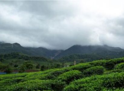 Wayanad - Calicut 3 Nights 4 Days Tour
