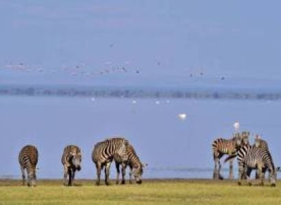 5days 4 Nights in the Wild