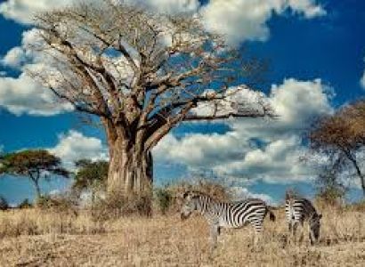 5days 4 Nights in the Wild