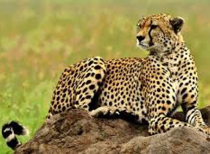 5days 4 Nights in the Wild