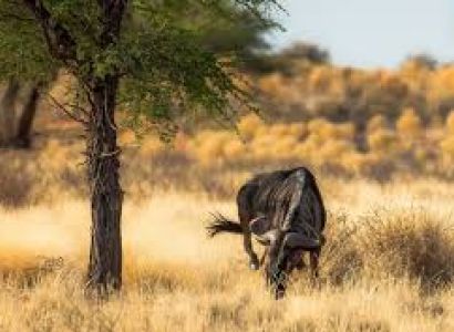 5days 4 Nights in the Wild