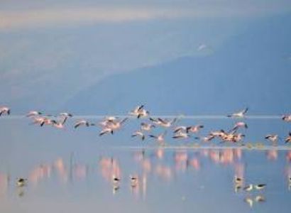 5days 4 Nights in the Wild