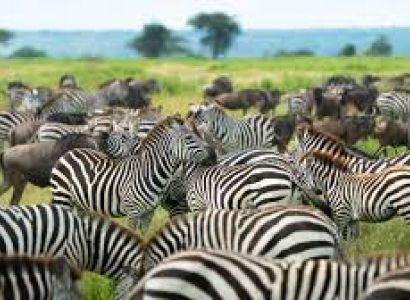 5days 4 Nights in the Wild