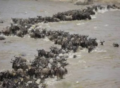 7 Days - 6 Nights Tanzania Safaris Tour