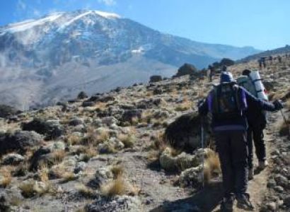8 Days Kilimanjaro - Lemosho Route Tour