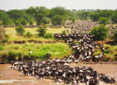 The Classic 10-Day Tanzania Family Safari With Serengeti Tour