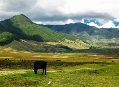 6N - 7D Bhutan Tour To Phobjikha Valley