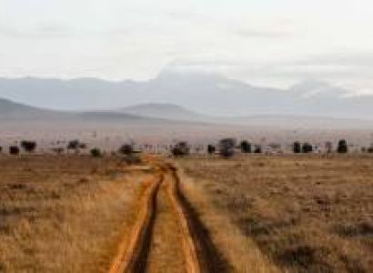 Tsavo East 1 Day Safari Tour From Beach To Beach