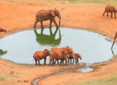 2 Days - 1 Night Nyati Adventure Tour