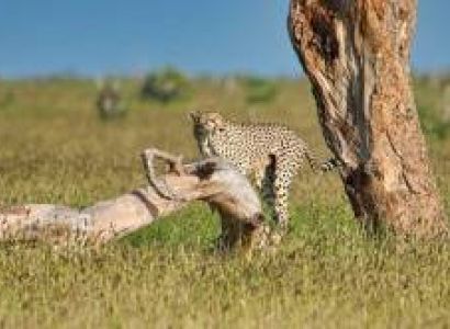 Ngorongoro Tour Packages