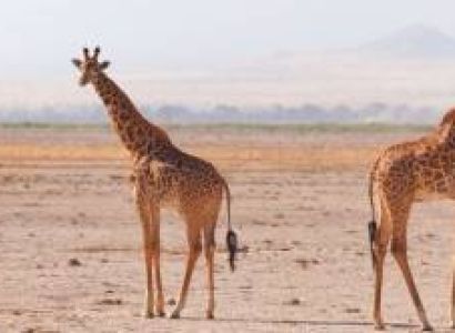 6Days - 5Nights Mamba Experience Tour