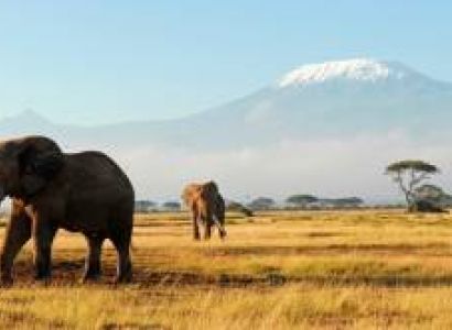 5 Day Masai Mara Safari - Masai Mara Game Reserve - Amboseli National Park Tour