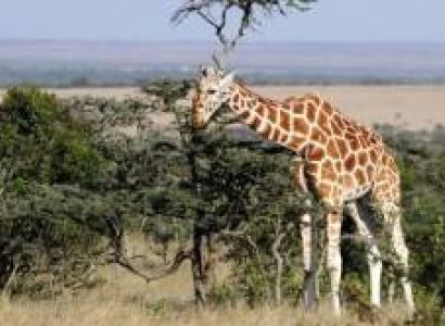 Manyara Tour Packages