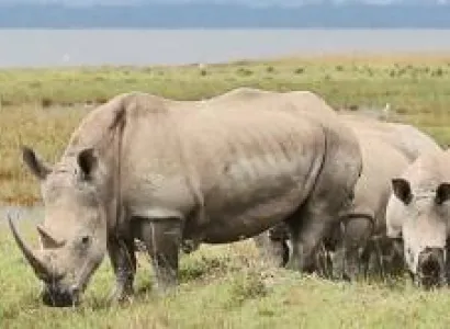 Enjoy This 2-Day Tsavo East National Park Safari From Mombasa