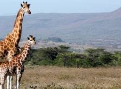 3-Day Beach To Beach Safari - 2 National Parks Tour