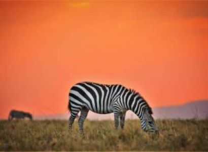 3 Nights 4 Days Maasai Mara